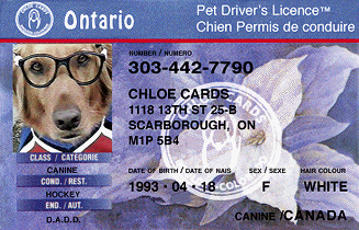 Ontario drivers license