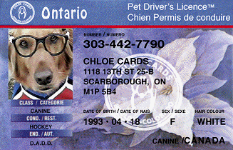 Getting an ontario driver s license